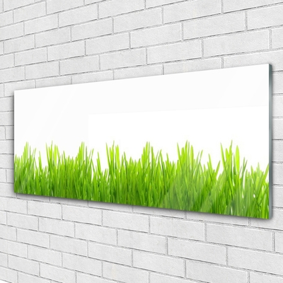 Plexiglas® Wall Art Weed nature green