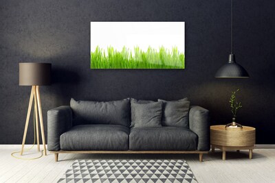 Plexiglas® Wall Art Weed nature green