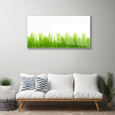 Plexiglas® Wall Art Weed nature green