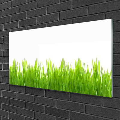 Plexiglas® Wall Art Weed nature green