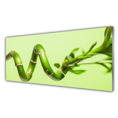 Plexiglas® Wall Art Bamboo floral green