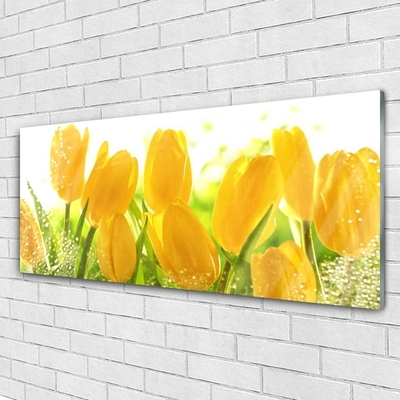 Plexiglas® Wall Art Tulips floral yellow green