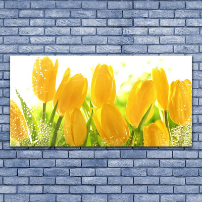 Plexiglas® Wall Art Tulips floral yellow green