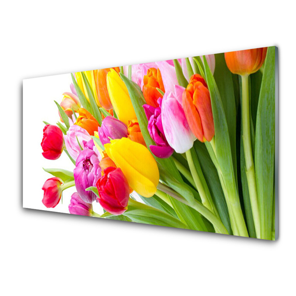 Plexiglas® Wall Art Tulips floral multi