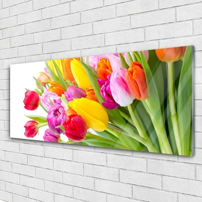 Plexiglas® Wall Art Tulips floral multi