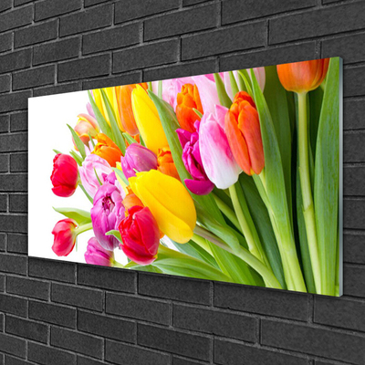 Plexiglas® Wall Art Tulips floral multi