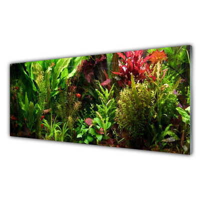 Plexiglas® Wall Art Plants nature green orange