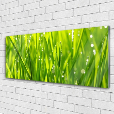 Plexiglas® Wall Art Grass nature green