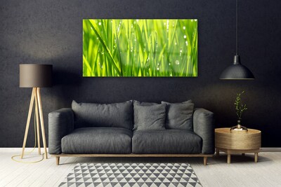 Plexiglas® Wall Art Grass nature green