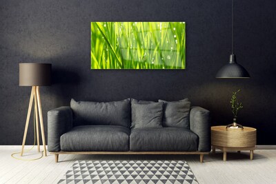 Plexiglas® Wall Art Grass nature green