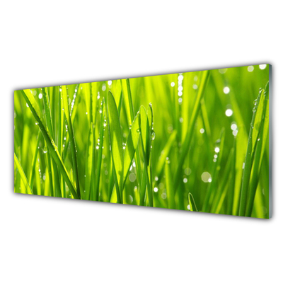 Plexiglas® Wall Art Grass nature green