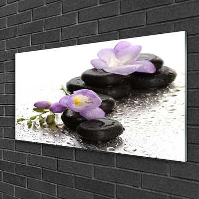 Plexiglas® Wall Art Flower stones art pink black