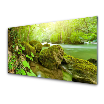 Plexiglas® Wall Art Lake stones nature green