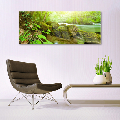 Plexiglas® Wall Art Lake stones nature green