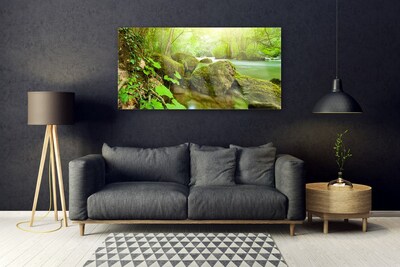 Plexiglas® Wall Art Lake stones nature green