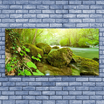 Plexiglas® Wall Art Lake stones nature green