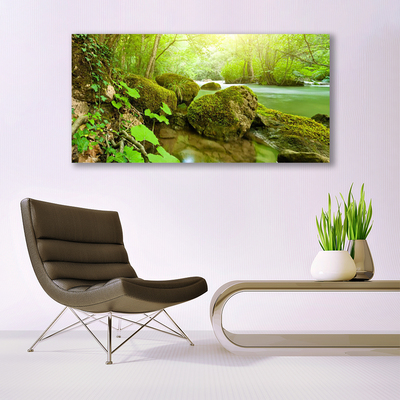 Plexiglas® Wall Art Lake stones nature green