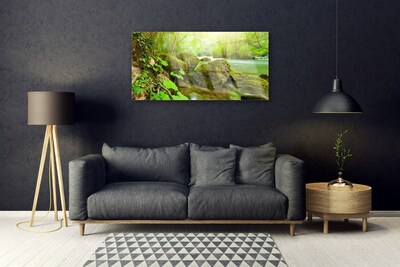 Plexiglas® Wall Art Lake stones nature green