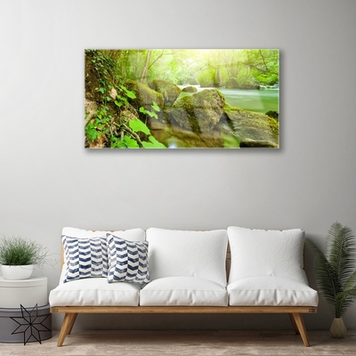 Plexiglas® Wall Art Lake stones nature green