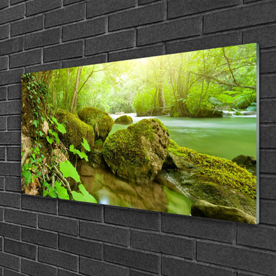 Plexiglas® Wall Art Lake stones nature green