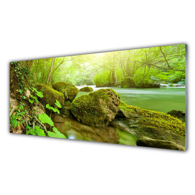 Plexiglas® Wall Art Lake stones nature green