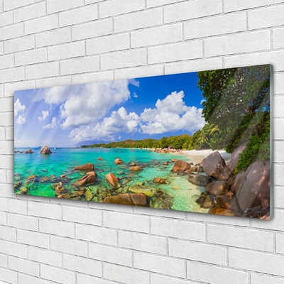 Plexiglas® Wall Art Sea stones trees landscape blue grey green brown