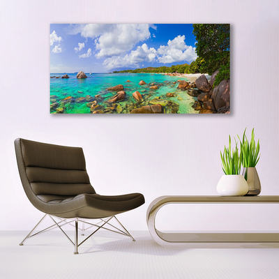 Plexiglas® Wall Art Sea stones trees landscape blue grey green brown