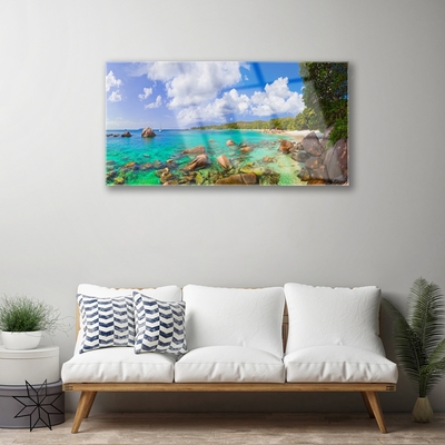 Plexiglas® Wall Art Sea stones trees landscape blue grey green brown