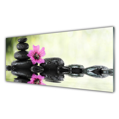 Plexiglas® Wall Art Flower stones art pink black