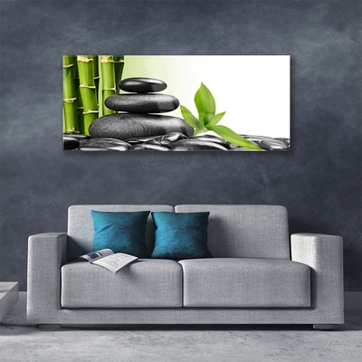 Plexiglas® Wall Art Bamboo stalks stones art green black