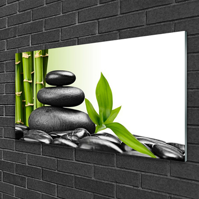 Plexiglas® Wall Art Bamboo stalks stones art green black