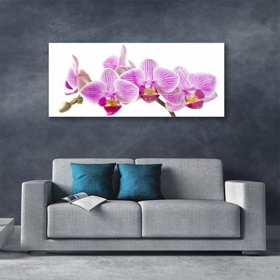 Plexiglas® Wall Art Flowers floral pink