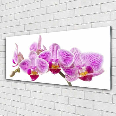 Plexiglas® Wall Art Flowers floral pink