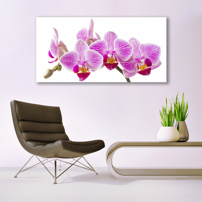 Plexiglas® Wall Art Flowers floral pink