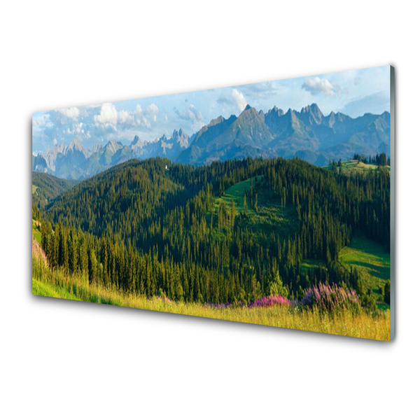 Plexiglas® Wall Art Mountain forest nature green