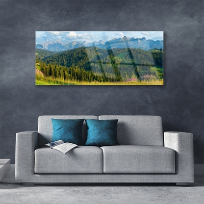 Plexiglas® Wall Art Mountain forest nature green