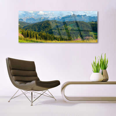 Plexiglas® Wall Art Mountain forest nature green