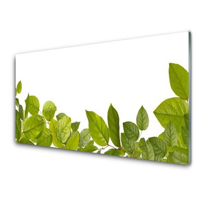 Plexiglas® Wall Art Leaves floral green