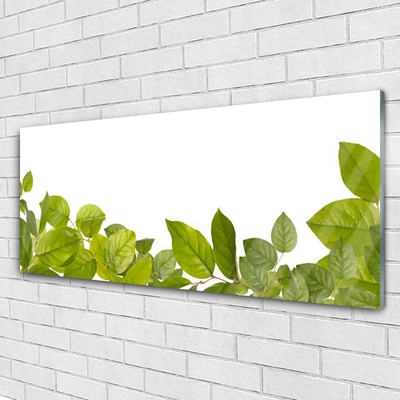 Plexiglas® Wall Art Leaves floral green