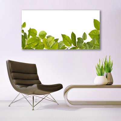 Plexiglas® Wall Art Leaves floral green