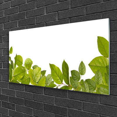 Plexiglas® Wall Art Leaves floral green