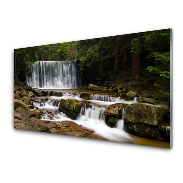 Plexiglas® Wall Art Waterfall forest nature white grey brown green