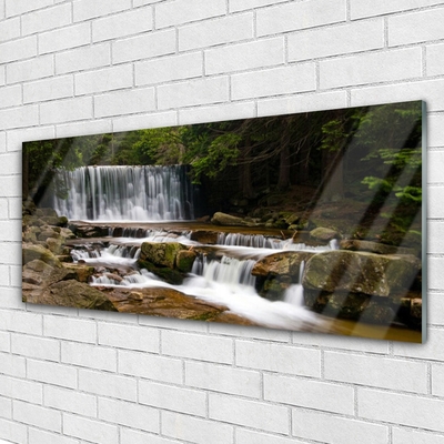 Plexiglas® Wall Art Waterfall forest nature white grey brown green