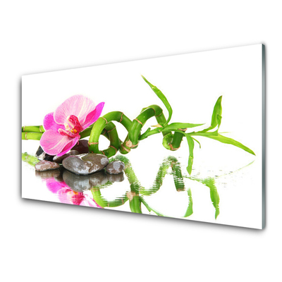 Plexiglas® Wall Art Bamboo flower stones art green pink grey