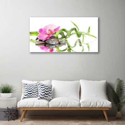 Plexiglas® Wall Art Bamboo flower stones art green pink grey