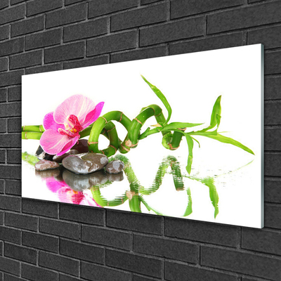 Plexiglas® Wall Art Bamboo flower stones art green pink grey