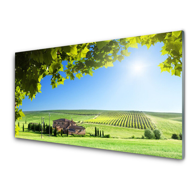 Plexiglas® Wall Art Field leaves landscape green brown