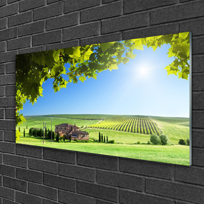 Plexiglas® Wall Art Field leaves landscape green brown