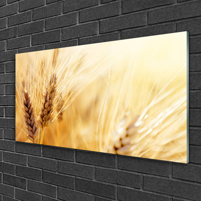 Plexiglas® Wall Art Wheat floral yellow