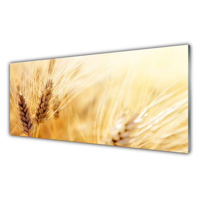 Plexiglas® Wall Art Wheat floral yellow